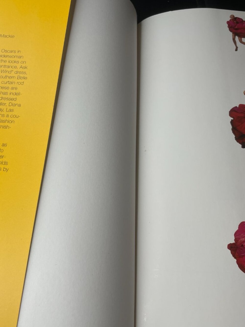 Unmistakably Mackie: The Fashion and Fantasy of Bob Mackie Paperback - Picture 5 of 9